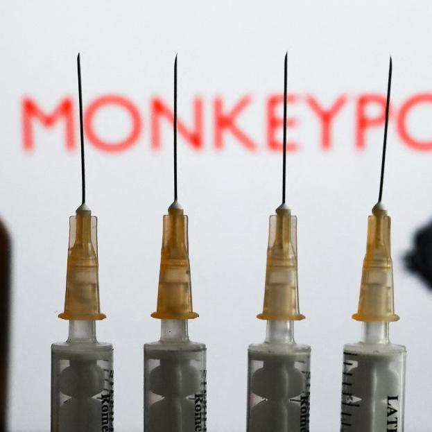Une étude internationale dont fait partie les HUG veut investiguer la variole du singe. Illustration. [AFP - Jakub Porzycki/NurPhoto]