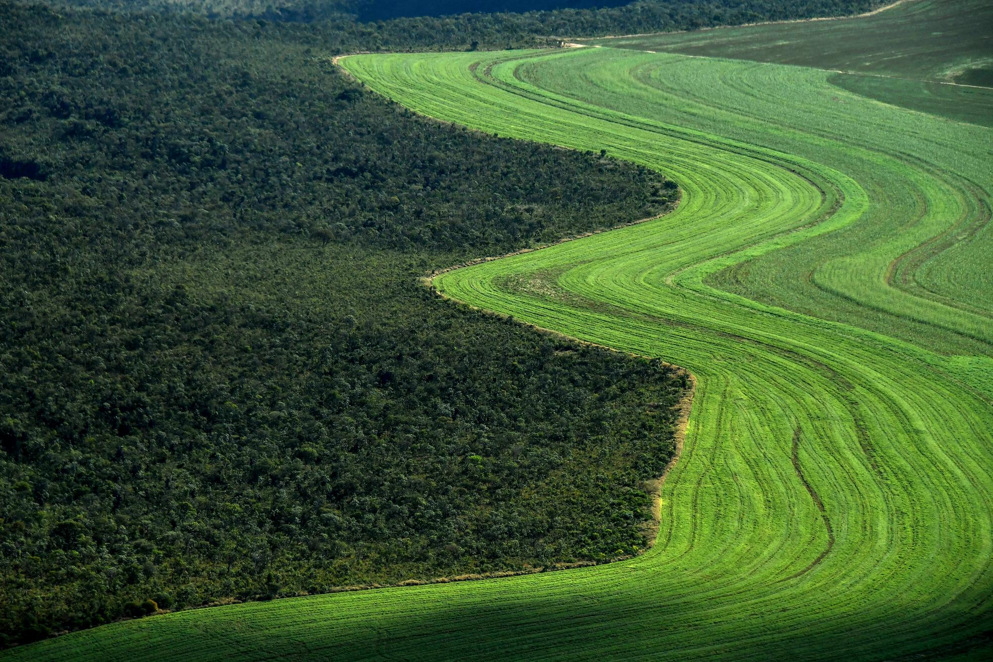 Des champs cultivés, issus de la déforestation de la savane du Cerrado dans l'Etat de Bahia au Brésil. [AFP - Nelson Almeida]