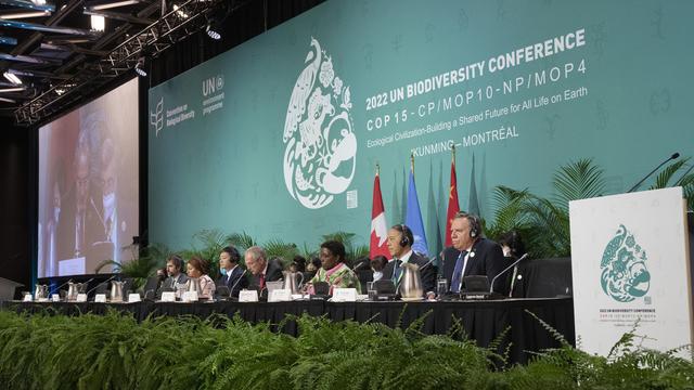 Un accord historique sur la biodiversité a été approuvé à la COP15 [AP/Keystone - Ryan Remiorz]