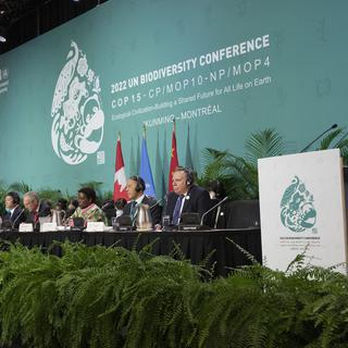 Un accord historique sur la biodiversité a été approuvé à la COP15 [AP/Keystone - Ryan Remiorz]