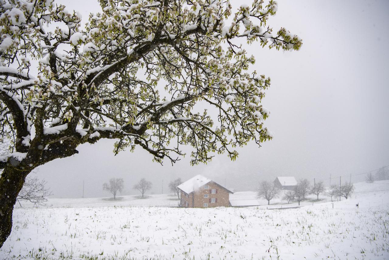 La neige fait de la résistance et continue à tomber samedi. Ici, une photo prise dans le canton de Nidwald. [keystone - Urs Flueeler]