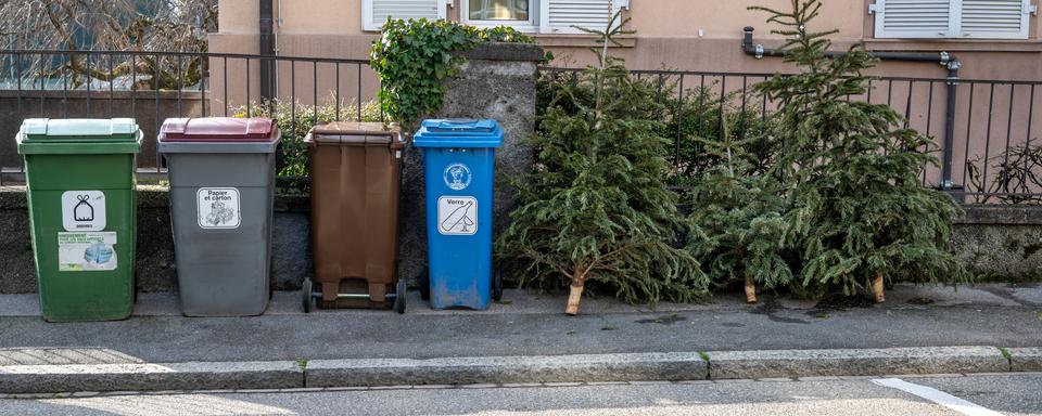 Des poubelles et des sapins de Noël abandonnés à Lausanne. [Depositphotos - HeyingPhoto]