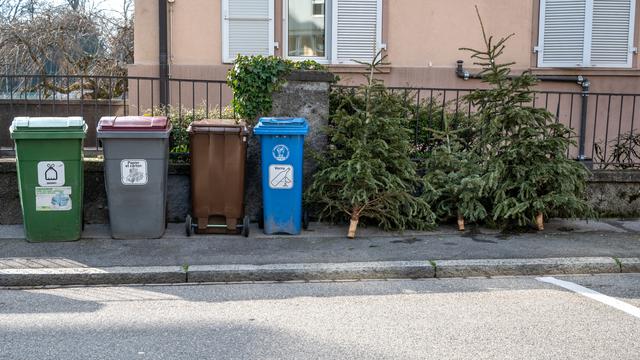 Des poubelles et des sapins de Noël abandonnés à Lausanne. [Depositphotos - HeyingPhoto]