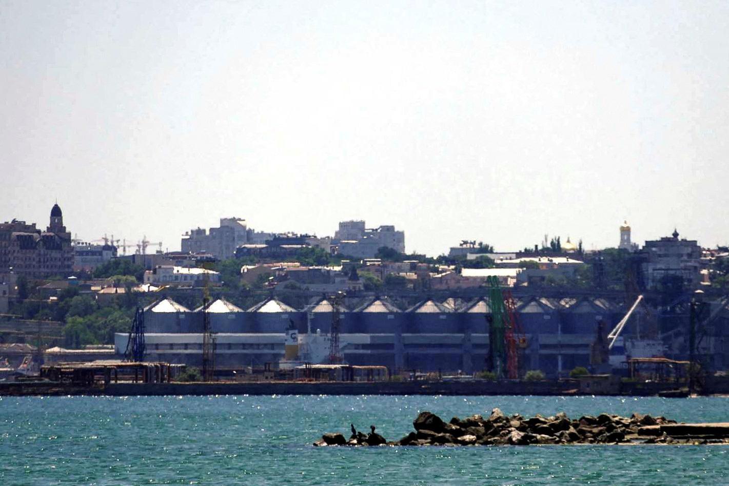 Un terminal à céréales du port d'Odessa. [Reuters - Stringer]