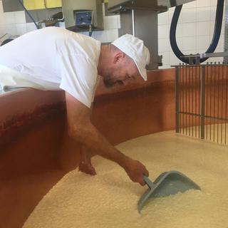 Nicolas Schmoutz, maître-fromager vérifie le décaillage du lait pour la fabrication du gruyère. [RTS - Stéphanie Jacquet]