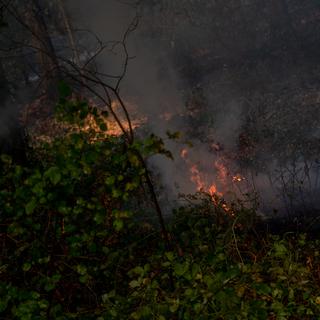 Un incendie s'est déclaré dans la forêt de Brocéliande en Bretagne. [AFP]