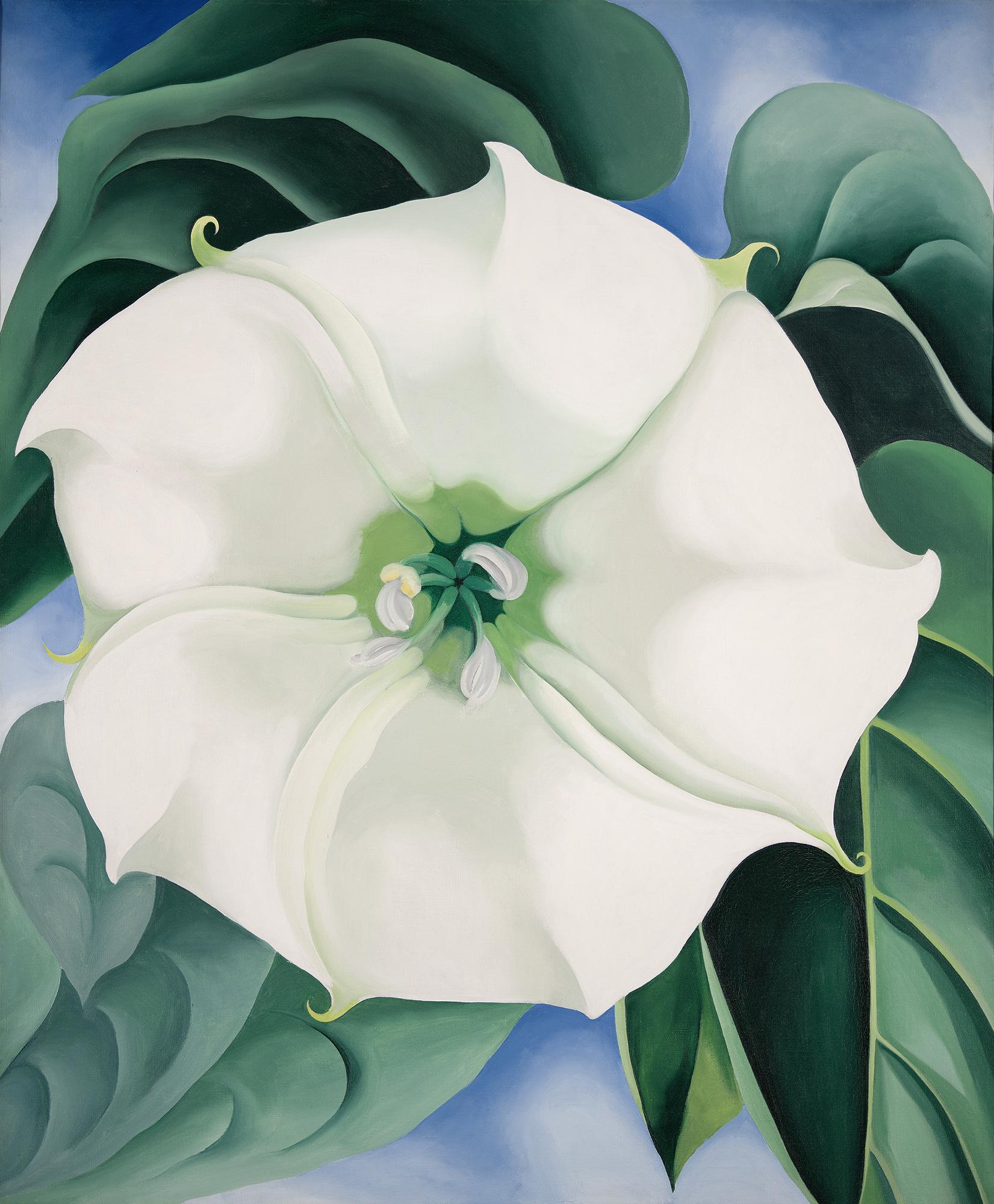 Georgia O'Keeffe, "Jimson Weed/Fleur blanche No 1", 1932. [Georgia O'Keeffe Museum / 2021, ProLitteris, Zurich - Edward C. Robison III]