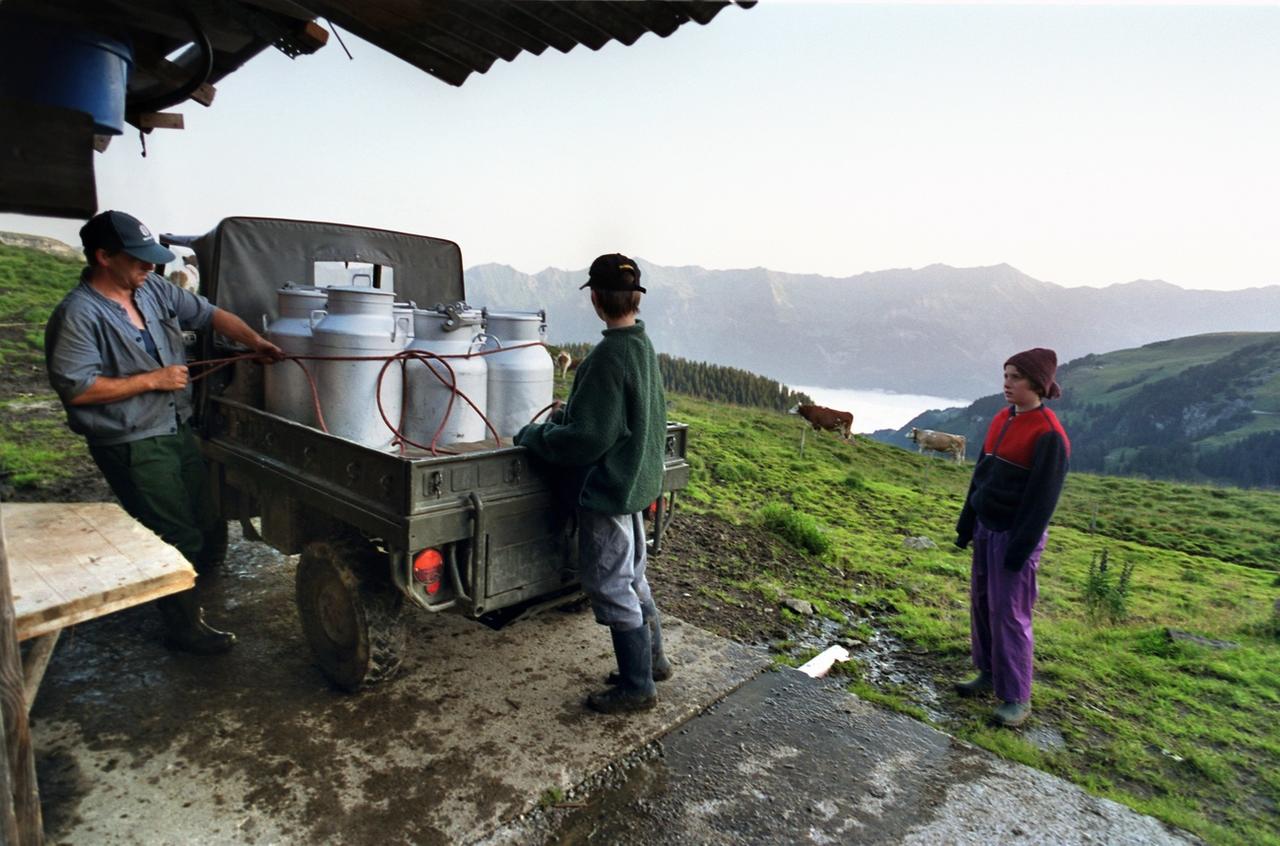 Un armailli et ses enfants au moment de charger les boilles de lait pour les amener à la fromagerie, dans les hauts de Brienz (BE). [Keystone - Gaetan Bally]