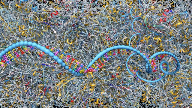 Le ribosome est la particule universelle qui décode l'information génétique transcrite en ARN messager (ARNm). [Depositphotos - Burgstedt]