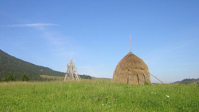 Récolte du foin dans l'oblast de Transcarpatie, à l'ouest de l'Ukraine. Au tournant du XXe siècle, la révolution industrielle ne touche pratiquement pas les Ukrainiens qui restent liés à la terre. L'industrie lourde et l'extraction minière emploient principalement des Russes tandis que l'agriculture industrielle est le fait de nobles Russes et Polonais ainsi que des colons allemands. Le commerce est lui aussi entre les mains des Russes et des Juifs. En conséquence, les villes principales sont habitées majoritairement par des non Ukrainiens. [wikimedia - Petr Adam Dohnálek]