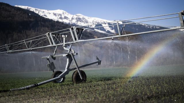 Arrosage des cultures à Bad Ragaz (GR), le 25.03.2022. [Keystone - Gian Ehrenzeller]