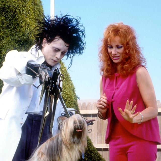 Edward Scissorhands, Tim Burton, 1990. [AFP - Collection Christophel / RnB © Twentieth Century Fox Pictures]