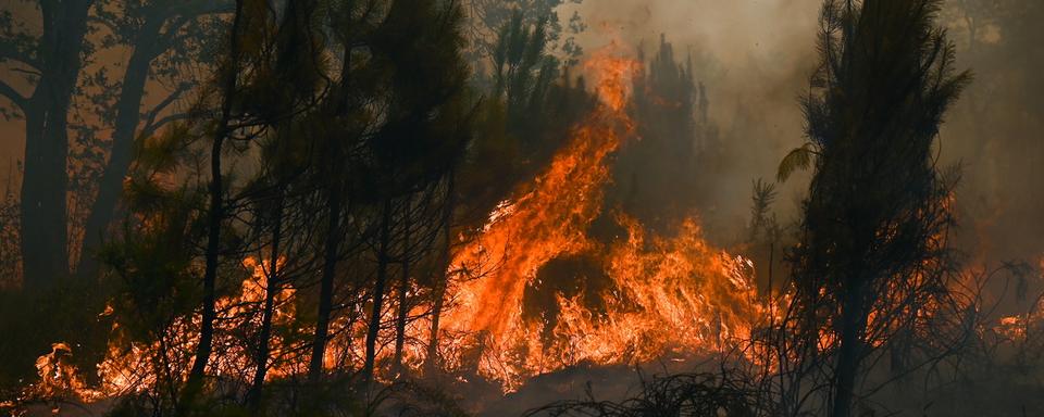 Les incendies continuent de progresser dans plusieurs régions françaises, ici le 18 juillet 2022.