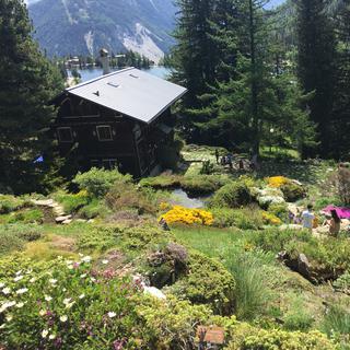 Le jardin botanique alpin de Champex-Lac. [RTS - Sarah Clément]