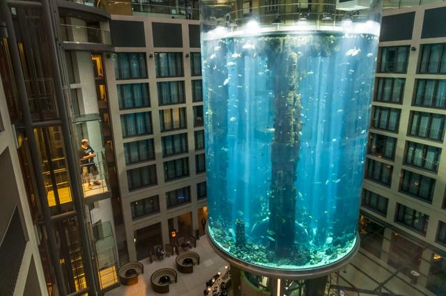 L'aquarium géant haut de 14 mètres se trouve au Radisson Collection Hotel à Berlin. [AFP - J-F Rollinger]