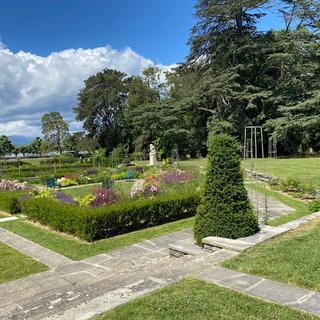 La roseraie historique du parc La Grange, lʹun des plus illustres symboles de la Genève végétale, renaît sous la forme dʹun jardin de roses durables. Le nouveau "Jardin de roses" vient donc dʹêtre inauguré . [RTS - Lucile Solari]