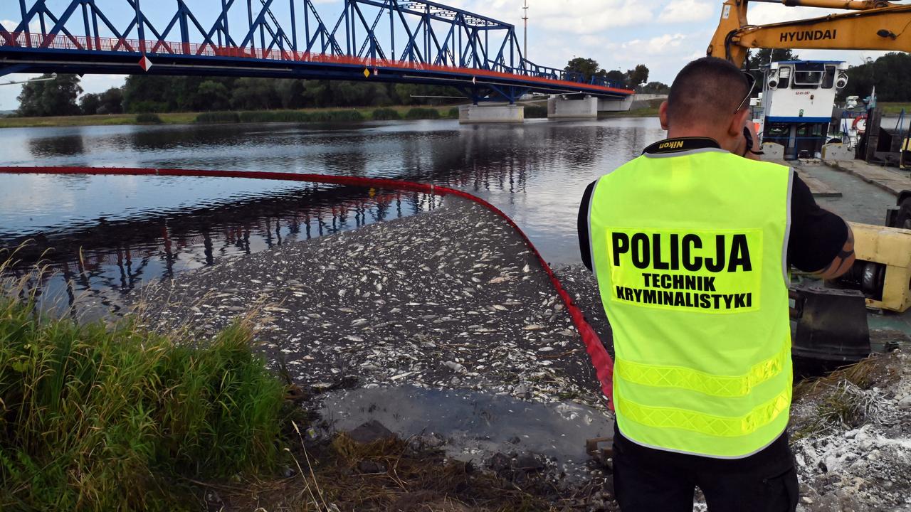 La police et les pompiers polonais sont à pied d'oeuvre pour repêcher les tonnes de poissons morts dans l'Oder. [AFP - Marcin Bielecki]