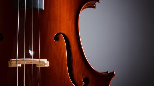 Violon. [Depositphotos - Elnur_]