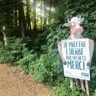 Jongny, Juin 2022: Mégots, bouteille en PET ou pire, cannettes en alu, sont un fléau pour la santé des vaches. Les agriculteurs sont en colère et tirent la sonnette d’alarme. [RTS - Annette Klaiber]