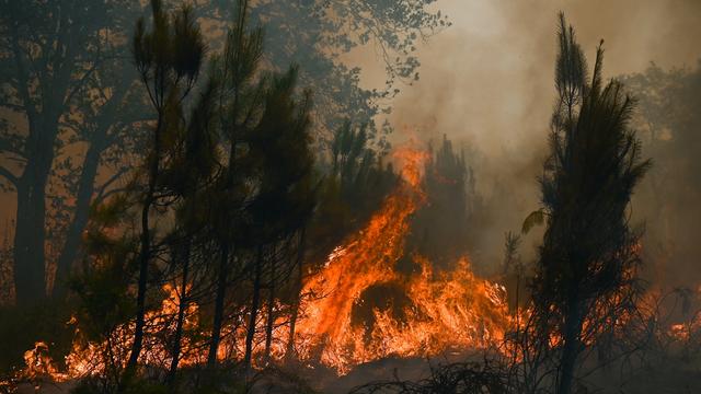 La Gironde de nouveau en proie aux flammes, déjà 1300 hectares brûlés