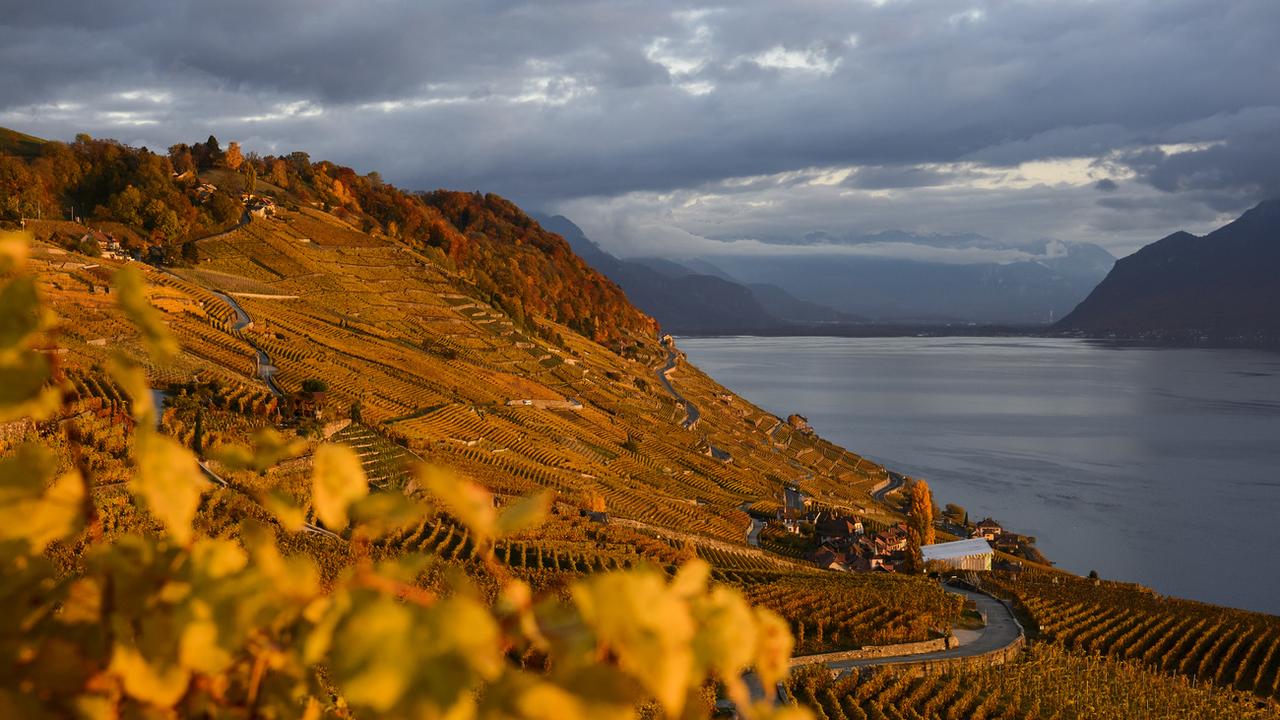 Des députés devront se récuser sur le PAC Lavaux. Image d'illustration [KEYSTONE - JEAN-CHRISTOPHE BOTT]