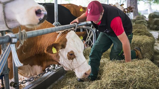 Quels sont les défis auxquels les jeunes agriculteurs et agricultrices font face en 2022? [Keystone - Jean-Christophe Bott]