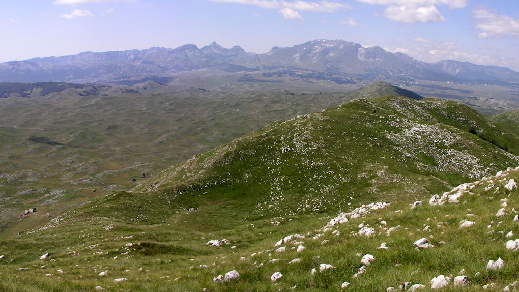 Le massif de Sinjajevina est fait de montagnes façonnées par le pastoralisme. [CC-BY-SA - JYB Devot]