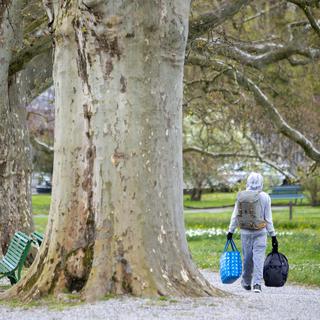 Un homme sans-abri dans le jardin botanique de Genève en 2021. [Keystone - Salvatore Di Nolfi]