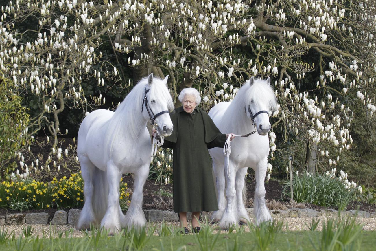 La veille de son anniversaire, les réseaux sociaux de la famille royale ont partagé un cliché pris le mois dernier montrant la reine dans les jardins du château de Windsor. [KEYSTONE - HENRYDALLALPHOTOGRAPHY.COM]