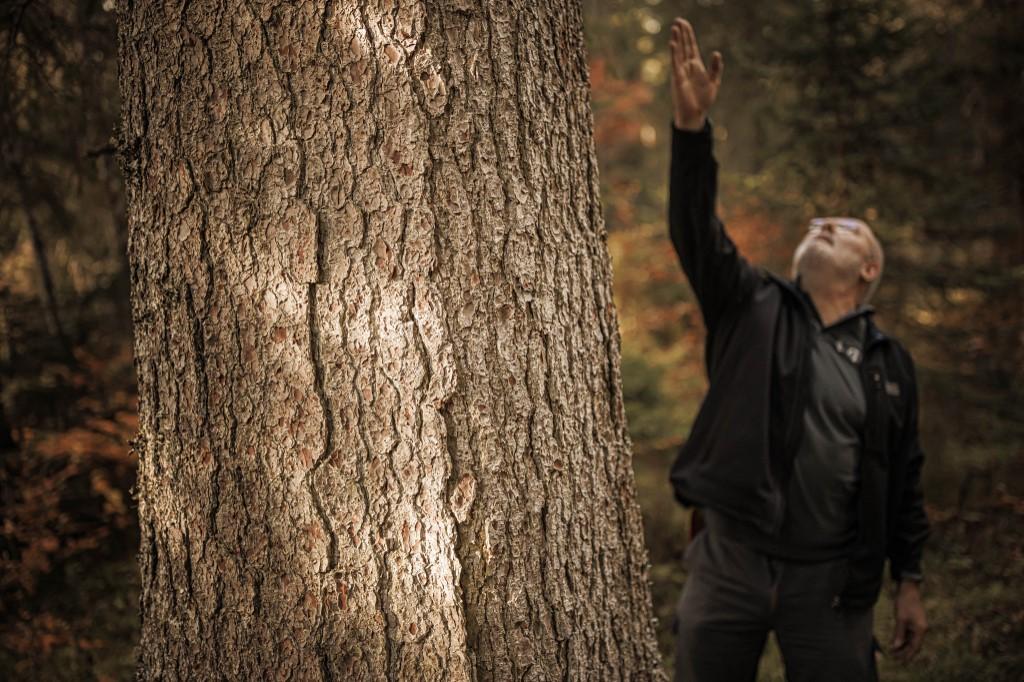 Le garde forestier François Villard commente la rectitude d'un épicéa au milieu de la forêt du Risoux. Le Chenit, le 19 octobre 2022. [AFP - Valentin Flauraud]