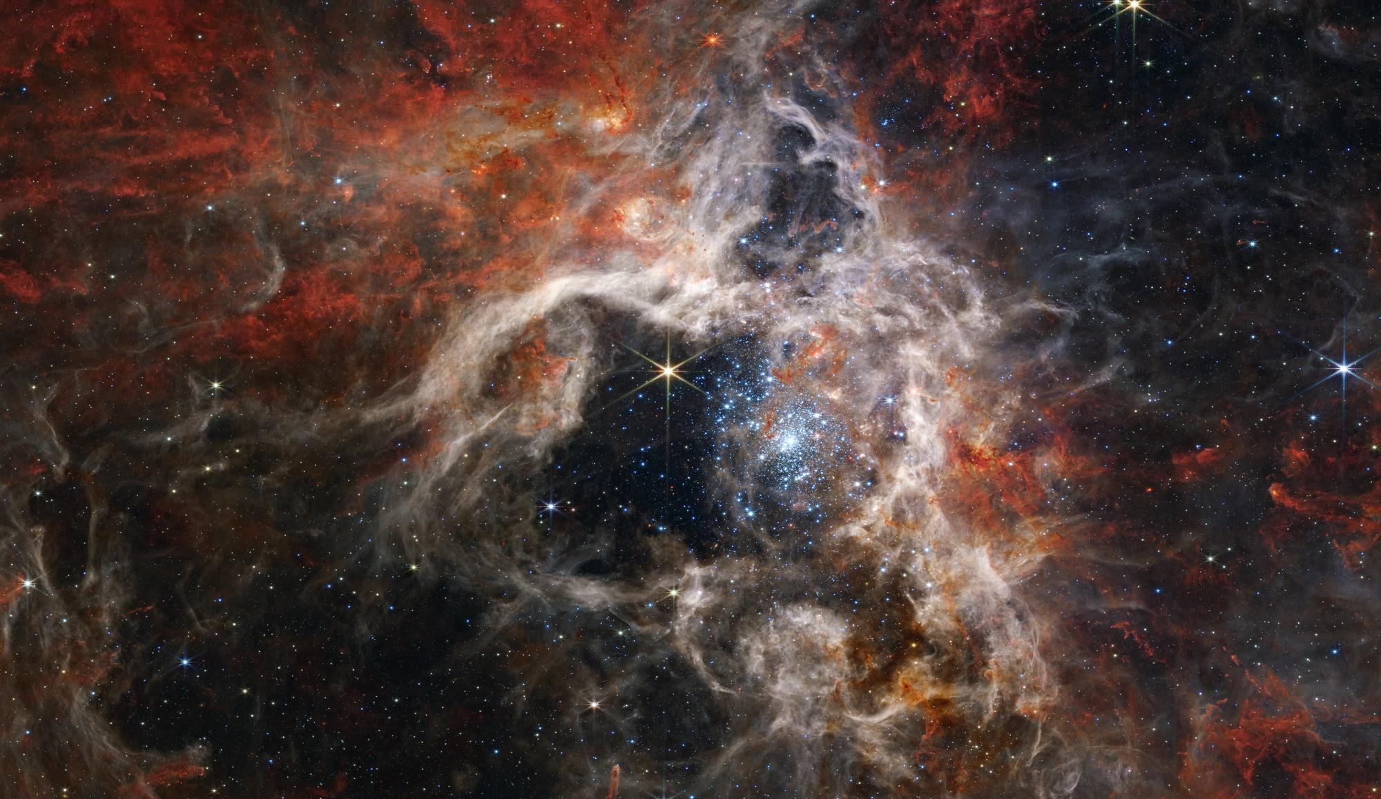Dans cette image mosaïque s'étendant sur 340 années-lumière, la caméra en infrarouge proche de Webb (NIRCam) révèle la région de formation d'étoiles de la nébuleuse de la Tarentule sous un nouveau jour, avec des dizaines de milliers de jeunes étoiles jamais vues auparavant: elles étaient jusqu'ici enveloppées de poussière cosmique. [NASA, ESA, CSA, STScI - Webb ERO Production Team]