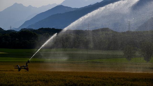 Le Conseil des Etats adopte la réforme de la politique agricole PA22+. [KEYSTONE - JEAN-CHRISTOPHE BOTT]