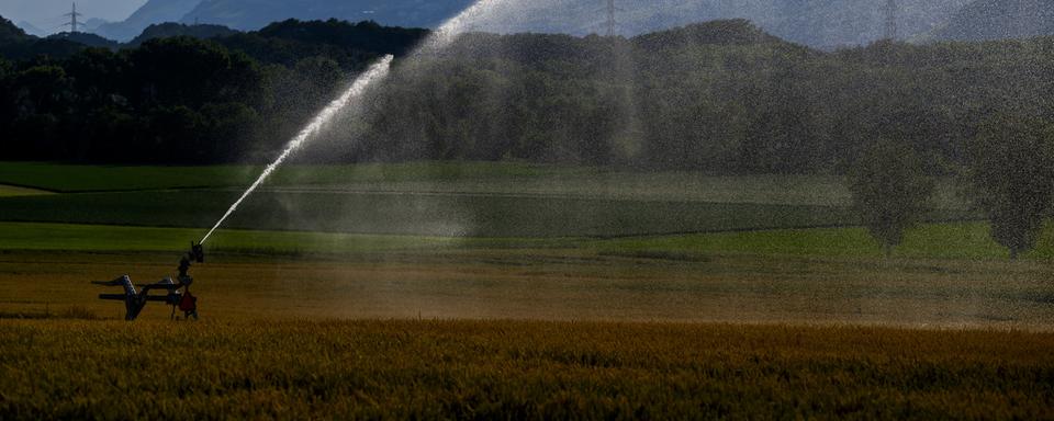 Le Conseil des Etats adopte la réforme de la politique agricole PA22+. [KEYSTONE - JEAN-CHRISTOPHE BOTT]