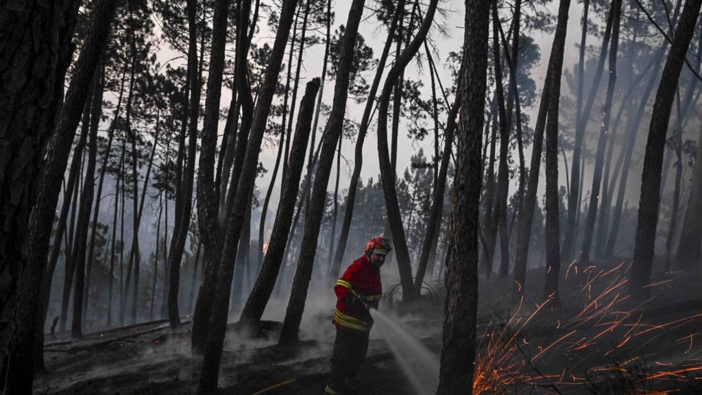 1500 pompiers luttent pour maîtriser les incendies de forêt au Portugal [AFP - PATRICIA DE MELO MOREIRA]