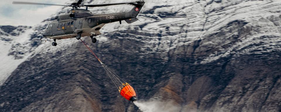 Un feu de forêt a ravagé le Monte di Gambarogno, dans le canton du Tessin. [DDPS - DDPS]