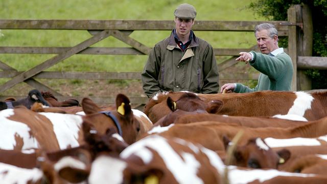 Charles et son fils William dans la ferme biologique que le futur roi a ouvert en 1985. [Reuters - Michael Crabtree MC/MD/DBP]