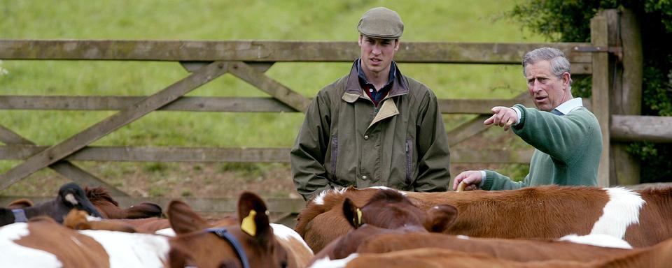 Charles et son fils William dans la ferme biologique que le futur roi a ouvert en 1985. [Reuters - Michael Crabtree MC/MD/DBP]