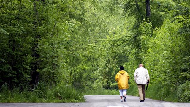 L’enquête révèle que presque la totalité de la population suisse (95%) se rend en forêt. [Keystone - Steffen Schmidt]