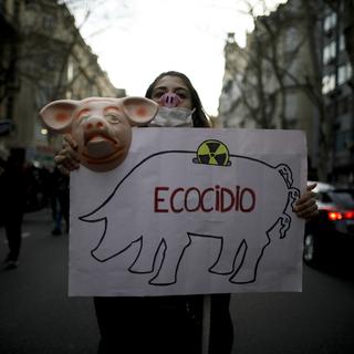 Une pancarte avec le mot " Ecocide" en espagnol. [AP/Keystone - Natacha Pisarenko]