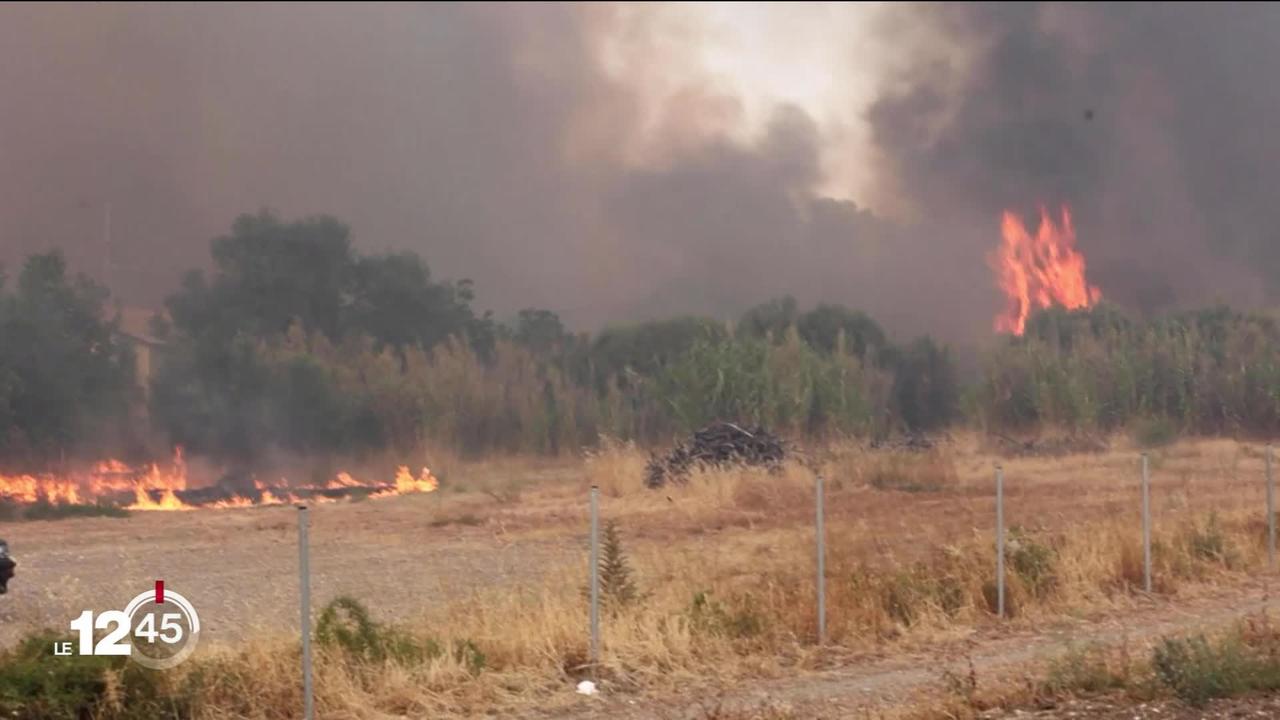 La Grèce lutte contre les incendies. Une partie de l'île de Lesbos a dû être évacuée.