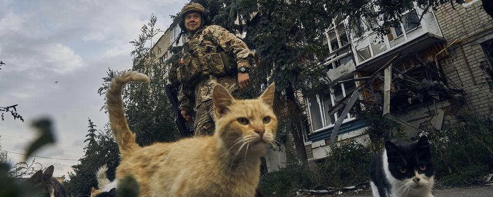 Un soldat ukrainien avec des chats dans la ville d'Izium à Kharkiv, une région libérée du Nord-Est du pays. [Keystone/AP Photo - Kostiantyn Liberov]