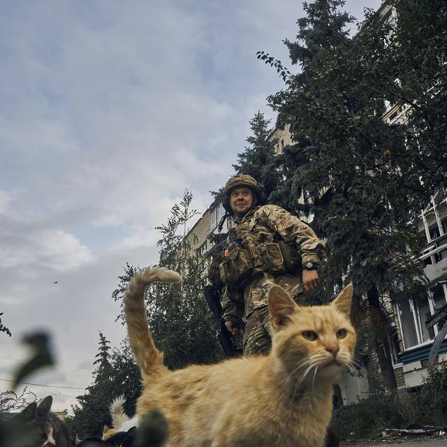 Un soldat ukrainien avec des chats dans la ville d'Izium à Kharkiv, une région libérée du Nord-Est du pays. [Keystone/AP Photo - Kostiantyn Liberov]
