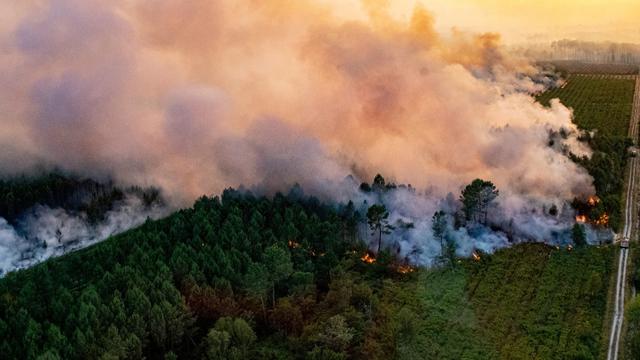 Les feux de forêt font toujours rage en Gironde. [Keystone - SDIS33]