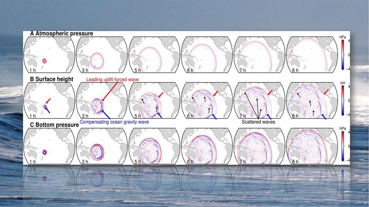 ( A ) Instantanés du changement de pression atmosphérique. ( B ) Instantanés du changement de hauteur de la surface de la mer. Les signaux d'onde distincts sont marqués par des flèches. ( C ) Instantanés du changement de pression au fond de l'océan. [Nature/Science/Université de Lisbonne et de Cardiff - Wikimedia Commons]