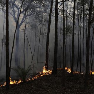 Un incendie se propage en Australie en janvier 2020. 
EPA/SEAN DAVEY 
Keystone [EPA/SEAN DAVEY]