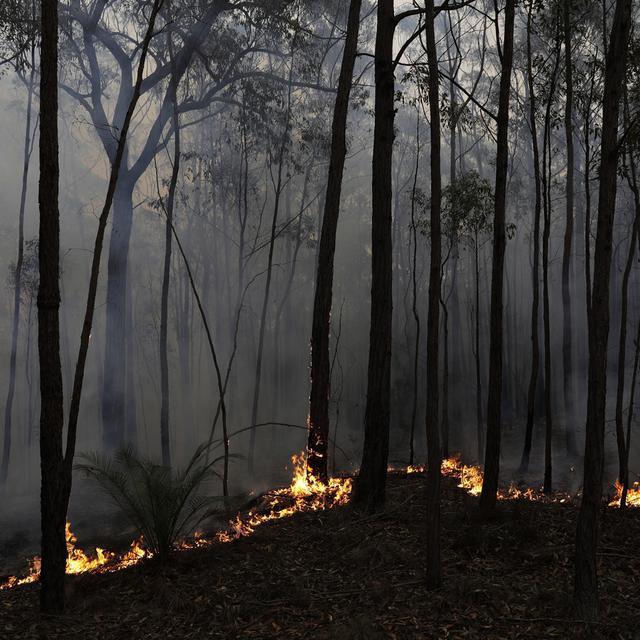 Un incendie se propage en Australie en janvier 2020. 
EPA/SEAN DAVEY 
Keystone [EPA/SEAN DAVEY]
