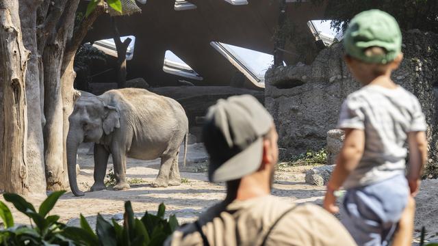 Des visiteurs près du parc des éléphants du zoo de Zurich le 8 juillet 2022. [Keystone - Ennio Leanza)]