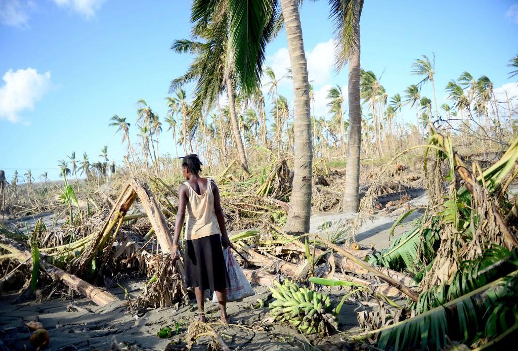 Dégâts après le passage du cyclone Pam sur le Vanuatu en 2015. [AFP - Jeremy Piper]