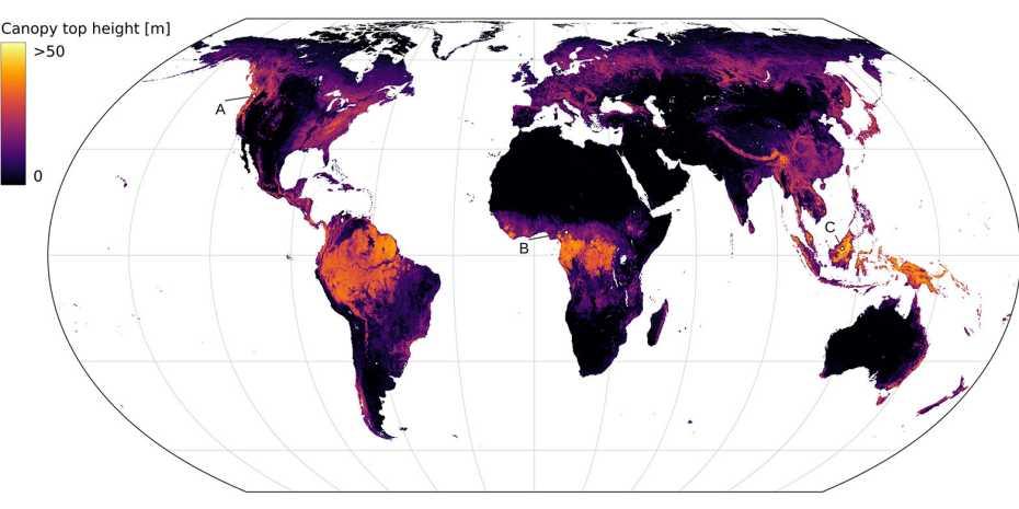 La carte du monde développée par les chercheurs de l'ETH représente la hauteur de la végétation à partir d'images satellites. [EcoVision Lab]