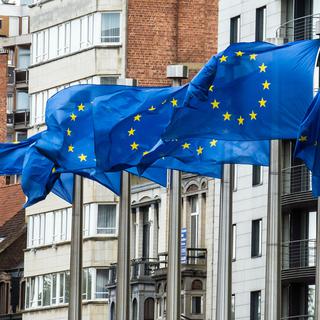 Des drapeaux européens au siège de la Commission européenne à Bruxelles. [Keystone/AP Photo - Geert Vanden Wijngaert]